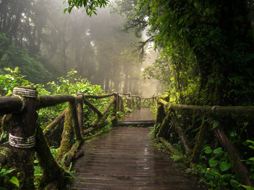 Chiang Mai: Doi Inthanon Park and Pha Dok Siew Trail Trek - Price and Value: What $61 Actually Buys You