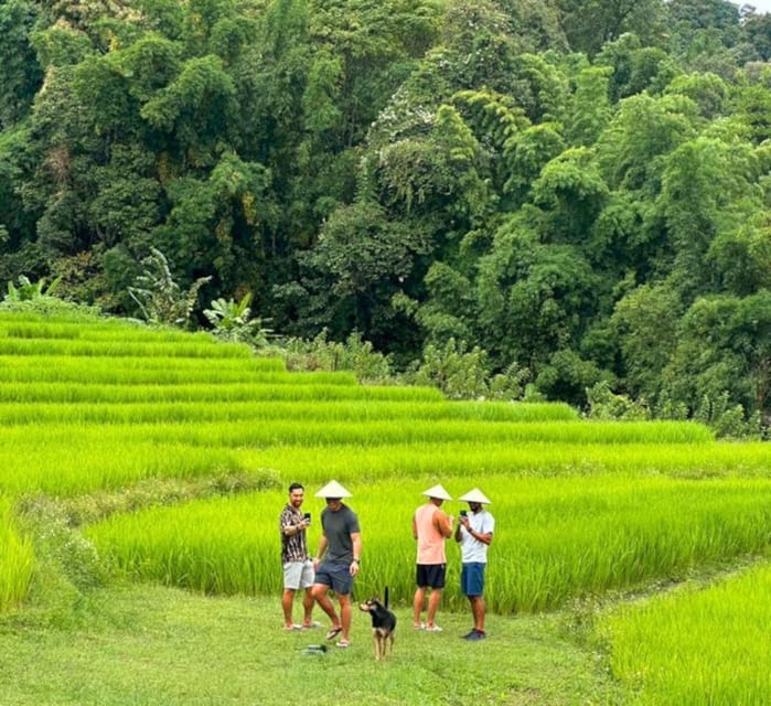 Chiang Mai: Doi Inthanon Park and Pha Dok Siew Trail Trek - King and Queen Pagodas: The Temple Stop People Want Photos From