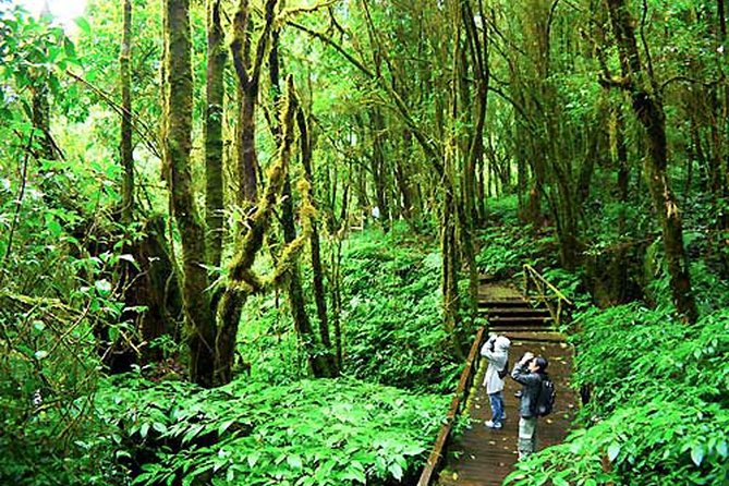 CHIANG MAI: Doi Inthanon-Trekking Keiw Mae Pan-Waterfall-Lunch - Kew Mae Pan Nature Trail: 2.78 km that rewards you for climbing