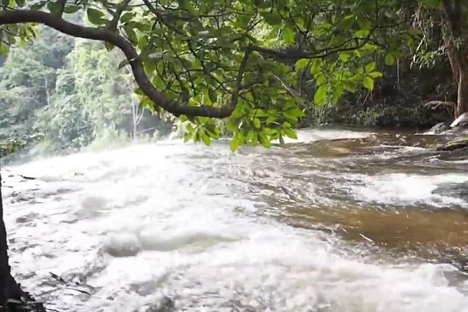 CHIANG MAI: Doi Inthanon-Trekking Pha Dok Seaw-Waterfall-Lunch - Twin Pagodas and the Hmong Hill-Tribe Market Stop