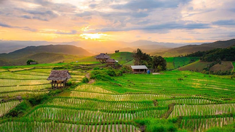 Chiang Mai: Doi Inthanon Trip with Pha Dok Siew Guided Trek - Price and Value: Watch the National Park Fee Option