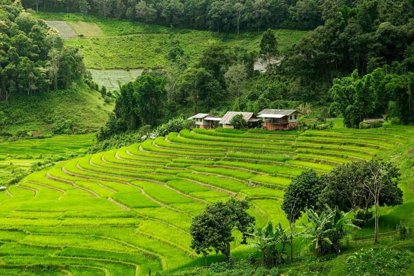 Chiang Mai: Doi Inthanon Trip with Pha Dok Siew Guided Trek - Morning Pickup and the Rhythm of a Packed Day