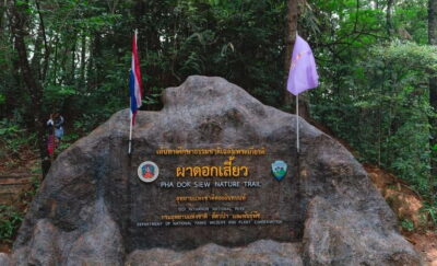 Chiang Mai: Doi Inthanon Trip with Pha Dok Siew Guided Trek - Getting There: Pickup, Van Comfort, and Morning Traffic Reality