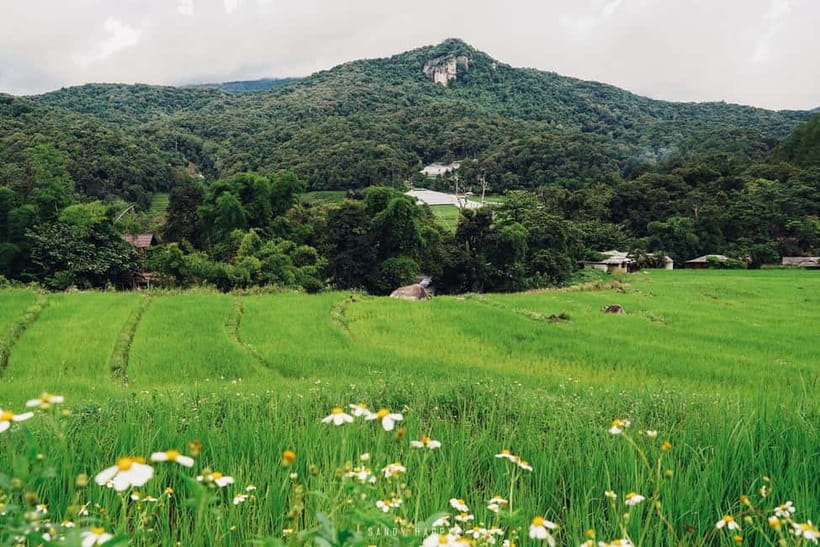Chiang Mai: Doi Inthanon Trip with Pha Dok Siew Guided Trek - Pha Dok Siew Nature Trail: A Guided Walk That Feels Personal