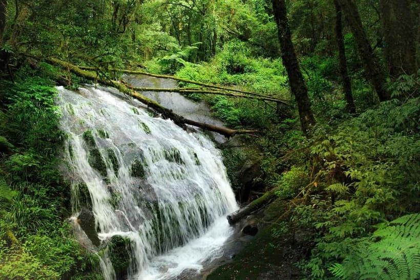 Chiang Mai: Doi Inthanon Trip with Pha Dok Siew Guided Trek - Karen Village Lunch and Coffee/Tea Moments