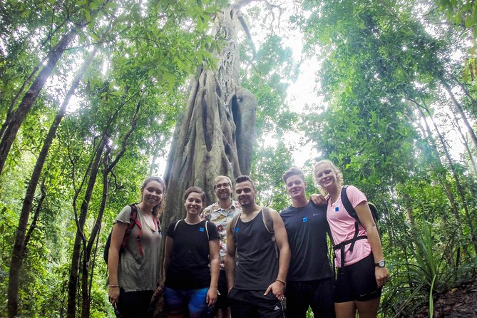 Chiang Mai: Doi Suthep Summit Trek – 7 Hour Pure Hiking Adventure - Key highlights you’ll feel on the trail