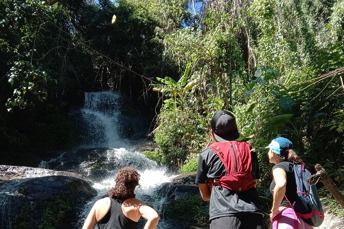 Chiang Mai: Doi Suthep Summit Trek – 7 Hour Pure Hiking Adventure - Why Doi Pui is such a strong Chiang Mai hiking day