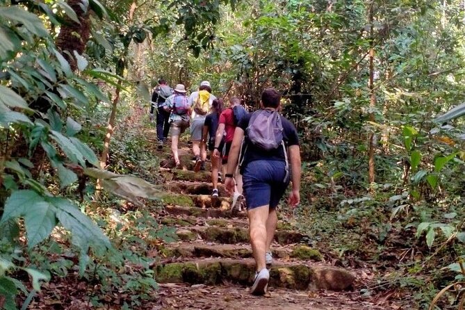 Chiang Mai: Doi Suthep Summit Trek – 7 Hour Pure Hiking Adventure - Tips that make the day smoother