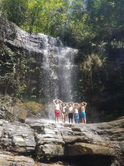 Chiang Mai: Elephant Sanctuary & Jungle Trek w/ Waterfall - Mae Win area and the short walk: warm-up before the water