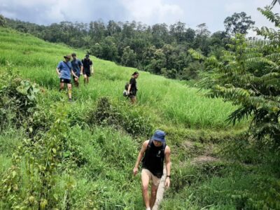 Chiang Mai: Elephant Sanctuary & Jungle Trek w/ Waterfall - Pickup, timing, and group vibe in Chiang Mai