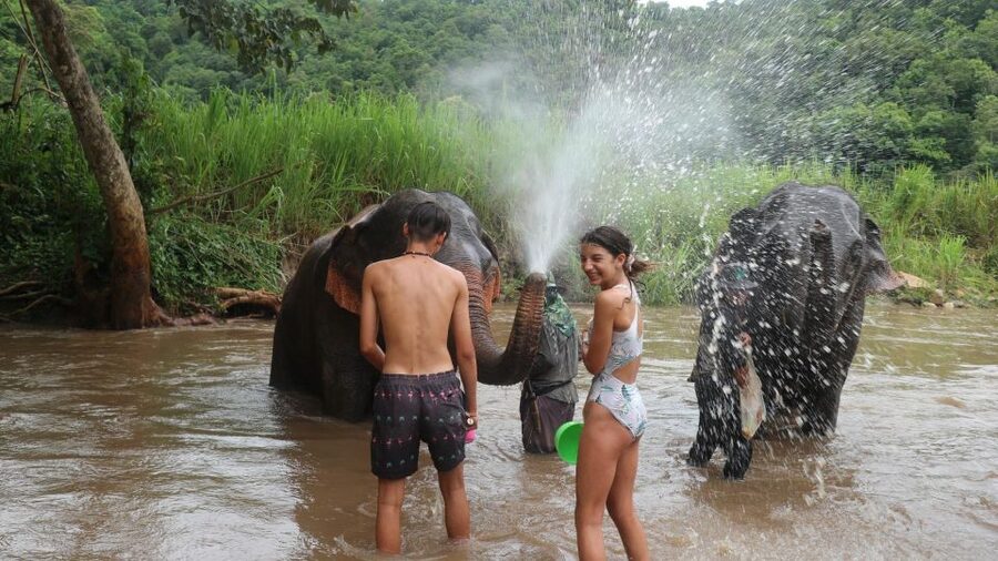 Chiang Mai: Elephant Sanctuary & Jungle Trek w/ Waterfall - The jungle trek to the waterfall: short, but don’t underestimate it