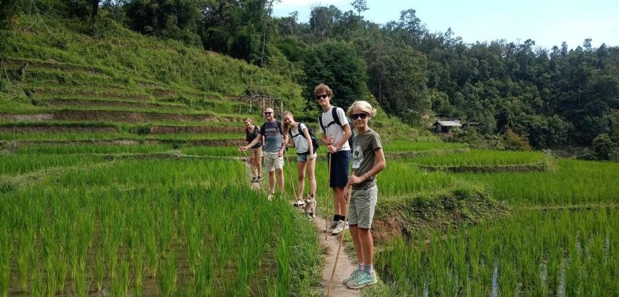 Chiang Mai: Elephant Sanctuary & Jungle Trek w/ Waterfall - Shan Village lunch: the calm pause you’ll actually enjoy