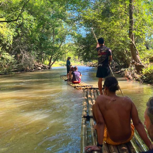 Chiang Mai: Elephant Sanctuary & Jungle Trek w/ Waterfall - Wildlife viewing and what to expect (and what not to expect)