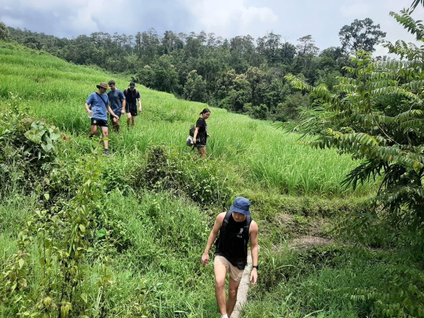 Chiang Mai: Elephant Sanctuary & Jungle Trek w/ Waterfall - Pickup, timing, and group vibe in Chiang Mai