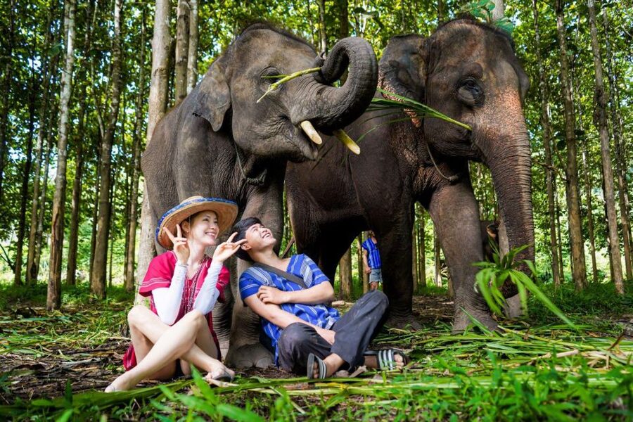 Chiang Mai: Full-Day Kerchor Elephant Eco Park Tour & Trek - Trek to the waterfall: beautiful payoff with slippery steps