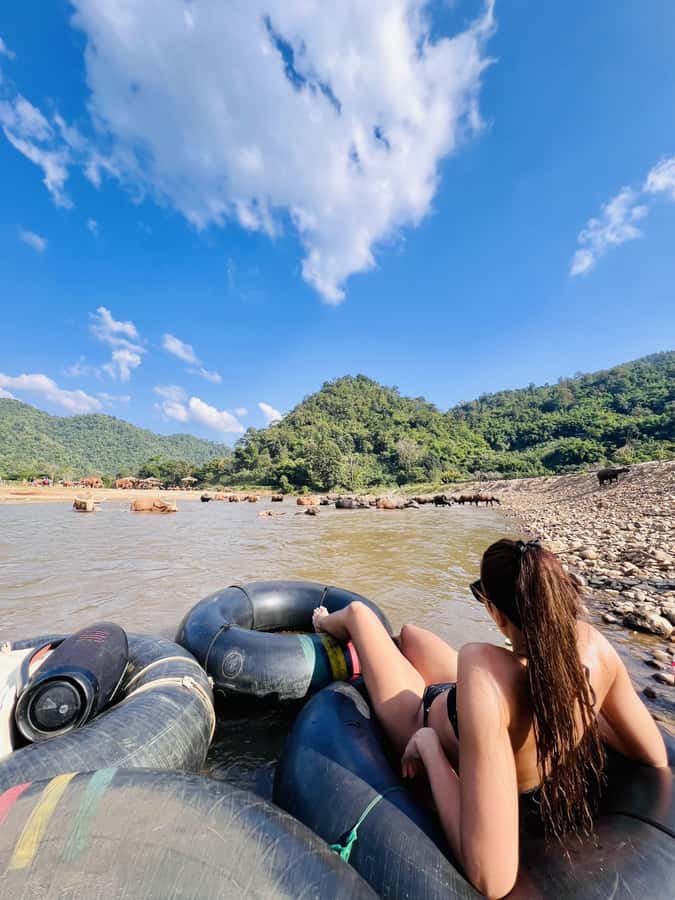 Chiang Mai Full-Day: Trekking, Tubing & Elephant Observation - Thai Lunch at Base Camp: A Real Reset Before Tubing