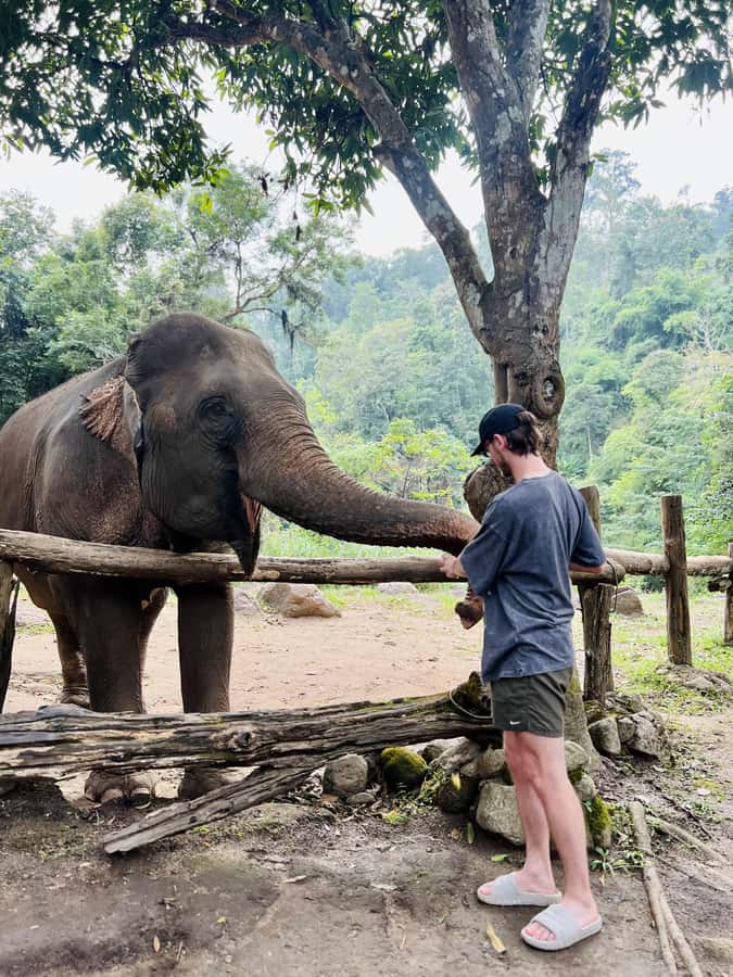 Chiang Mai Full-Day: Trekking, Tubing & Elephant Observation - Saa Gee Falls Waterfall Slide: Why Option 1 Is Worth It