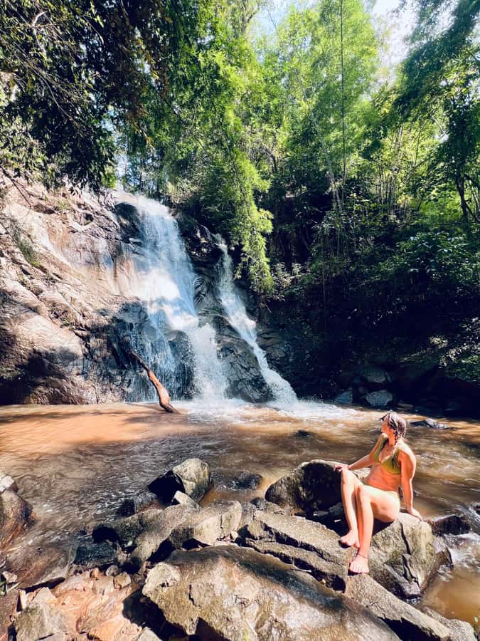 Chiang Mai Full-Day: Trekking, Tubing & Elephant Observation - Showers, Tea, Snacks, and the Return to Chiang Mai