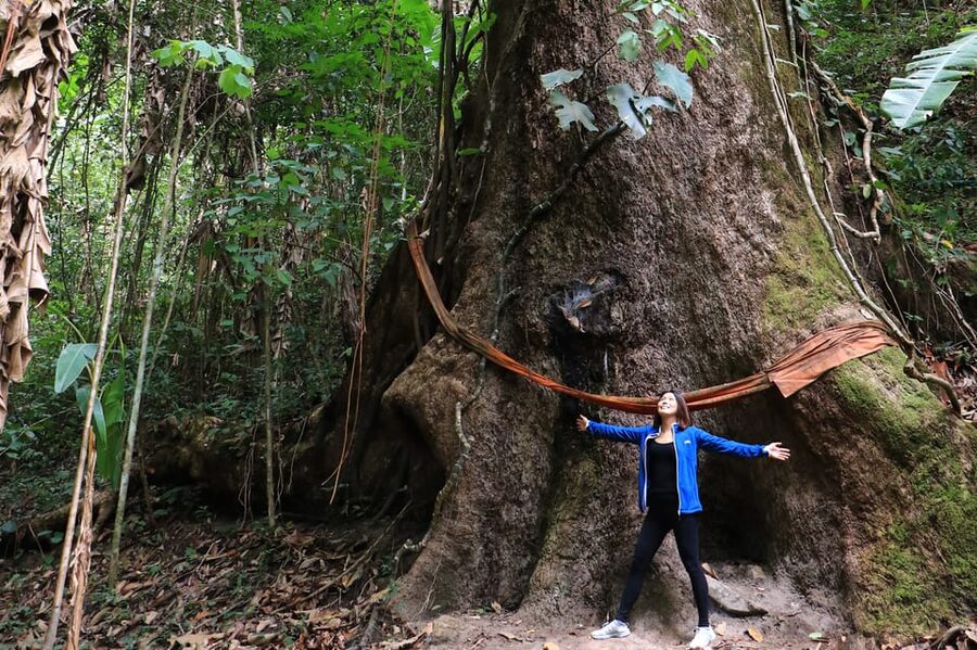 Chiang Mai: Gibbons, Trekking & Mae Kampong Small Group Tour - Key highlights worth getting excited about