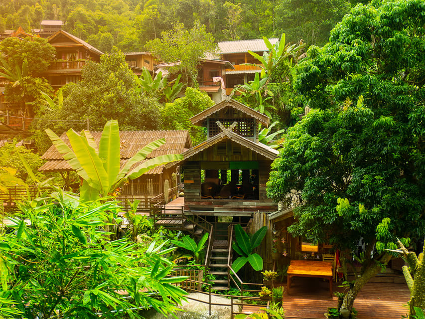 Chiang Mai: Gibbons, Trekking & Mae Kampong Small Group Tour - Price and value: why $77 can make sense here