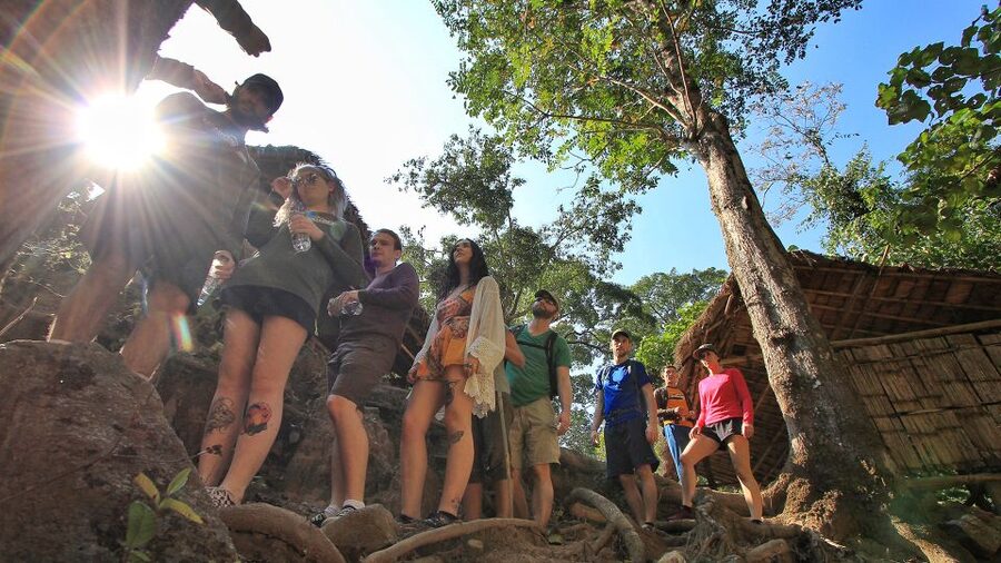 Chiang Mai: Guided Jungle and Waterfall Trek with Transfer - The 3-hour jungle trek: pace, stops, and real nature talk