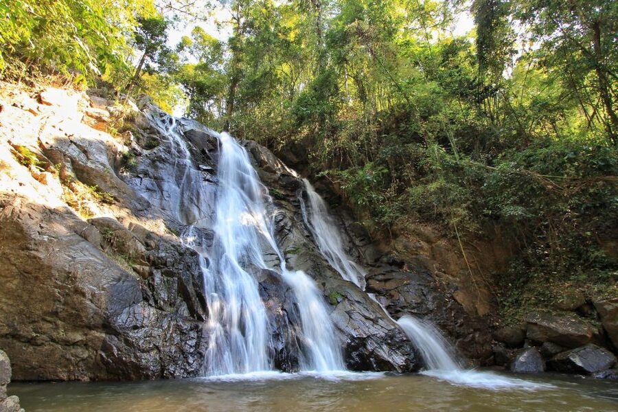Chiang Mai: Guided Jungle and Waterfall Trek with Transfer - Lunch break in the wild: fuel that keeps the day enjoyable