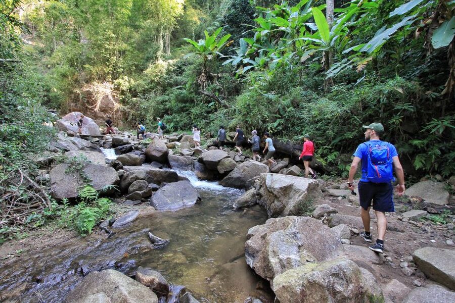 Chiang Mai: Guided Jungle and Waterfall Trek with Transfer - The 10-meter waterfall swim: when you’ll want swimwear