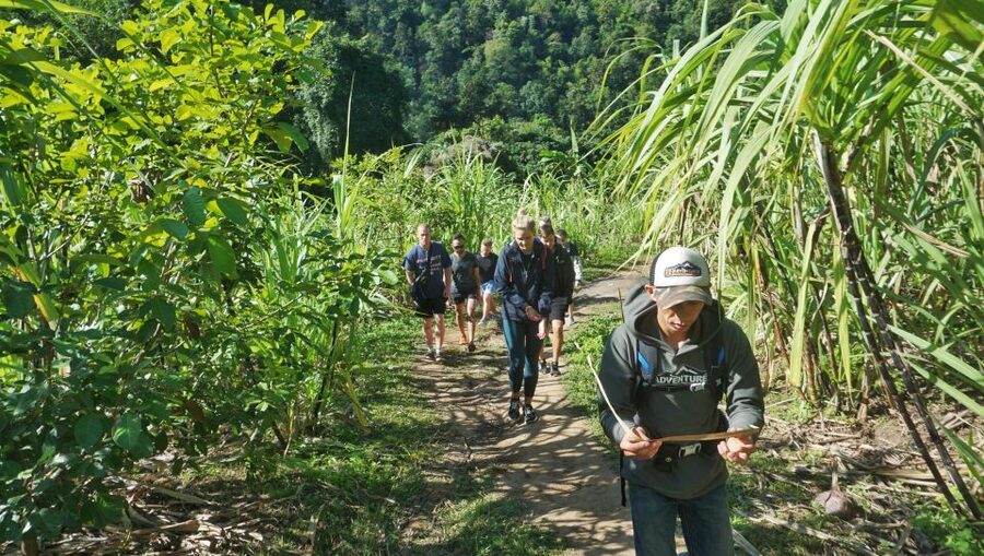 Chiang Mai: Guided Jungle and Waterfall Trek with Transfer - What you’re paying $64 for: value check, not just cost