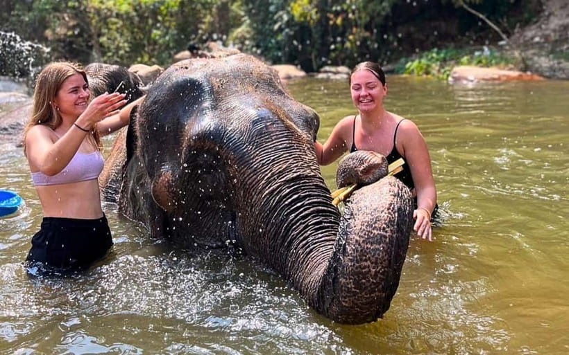 Chiang Mai: Jungle Trek, Elephants care & Bamboo Rafting - Key things to know before you go