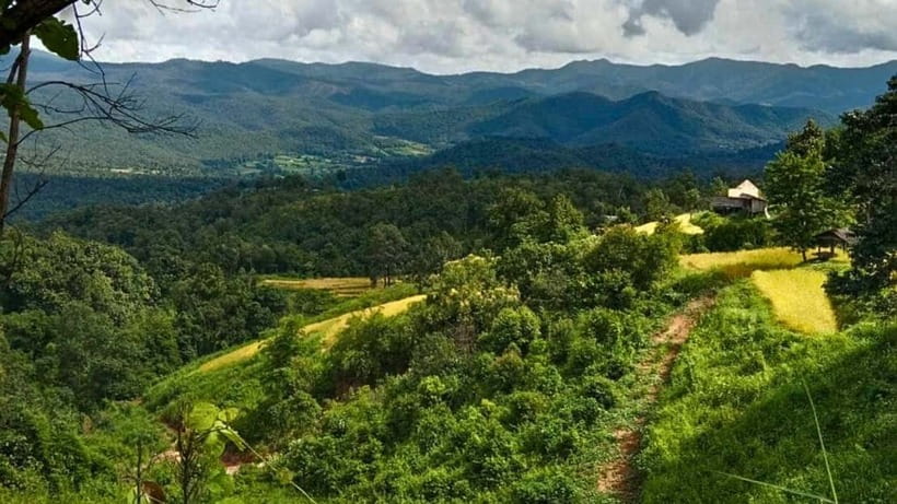 Chiang Mai: Jungle Trek, Elephants care & Bamboo Rafting - Price and value: is $54 for a full day outdoors a fair deal?