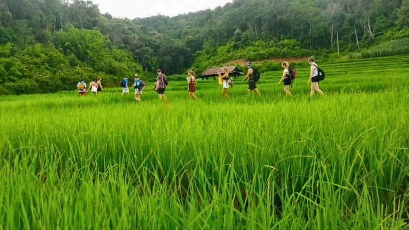 Chiang Mai: Jungle Trek, Elephants care & Bamboo Rafting - What to bring (and what not to forget) for a day that mixes heat and wet spots