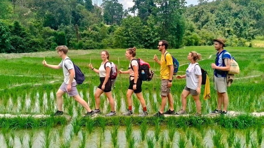 Chiang Mai: Jungle Trek, Elephants care & Bamboo Rafting - Who this Chiang Mai jungle trek fits best (and who might feel out of place)