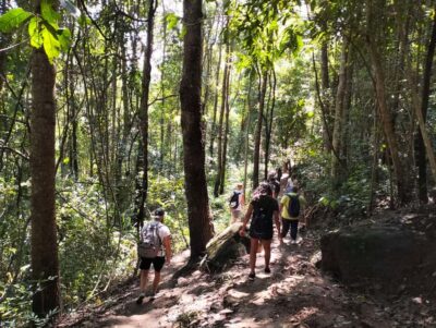 Chiang Mai: Mae Ya Waterfall & Pha Dok Siew Trail Trek - Pha Dok Siew Nature Trail: a 2-hour trek with real hill-farm scenery