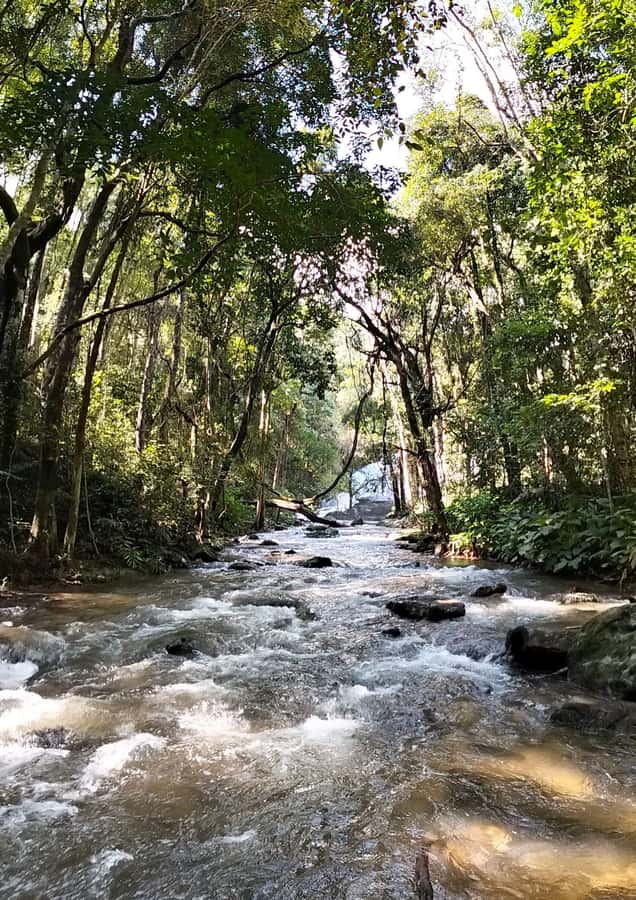 Chiang Mai: Mae Ya Waterfall & Pha Dok Siew Trail Trek - Who should book this trek-and-waterfall day trip?
