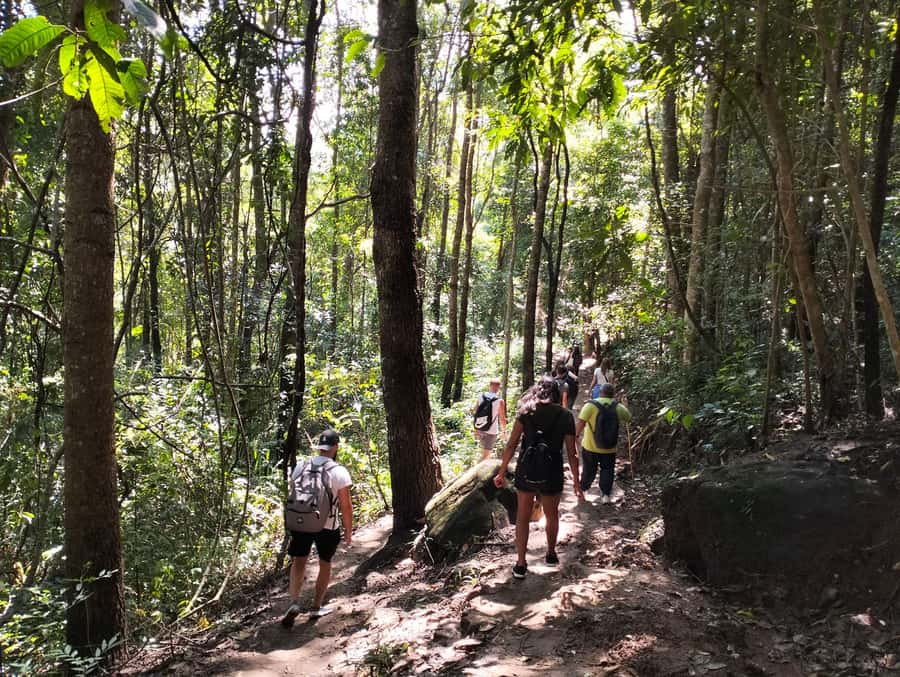 Chiang Mai: Mae Ya Waterfall & Pha Dok Siew Trail Trek - Pha Dok Siew Nature Trail: a 2-hour trek with real hill-farm scenery