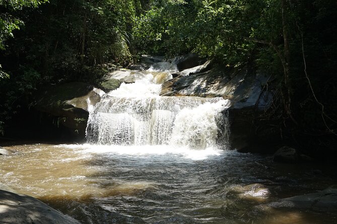 Chiang Mai Trekking Tour :Full day (no rafting) - Key points you’ll care about