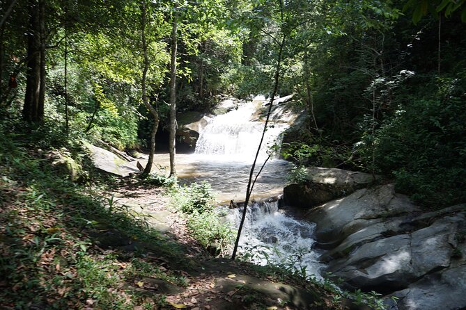 Chiang Mai Trekking Tour :Full day (no rafting) - Elephant Pride Sanctuary: What Elephant Time Looks Like