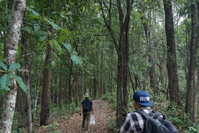 Chiang Mai Trekking Tour :Full day (no rafting) - The Jungle Trek and Waterfall Moments That Make the Day Feel Alive