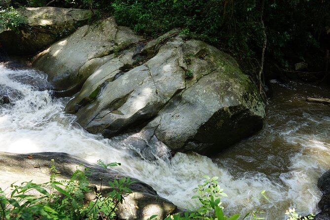 Chiang Mai Trekking Tour :Full day (no rafting) - Quick Tips to Make the Day More Comfortable