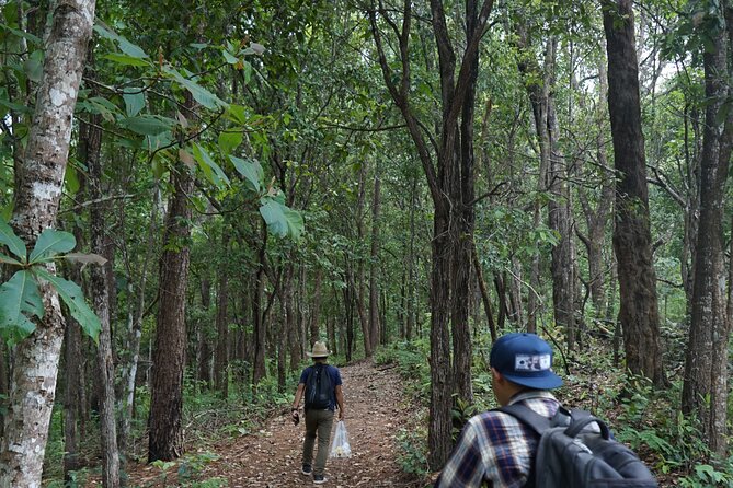 Chiang Mai Trekking Tour :Full day (no rafting) - The Jungle Trek and Waterfall Moments That Make the Day Feel Alive