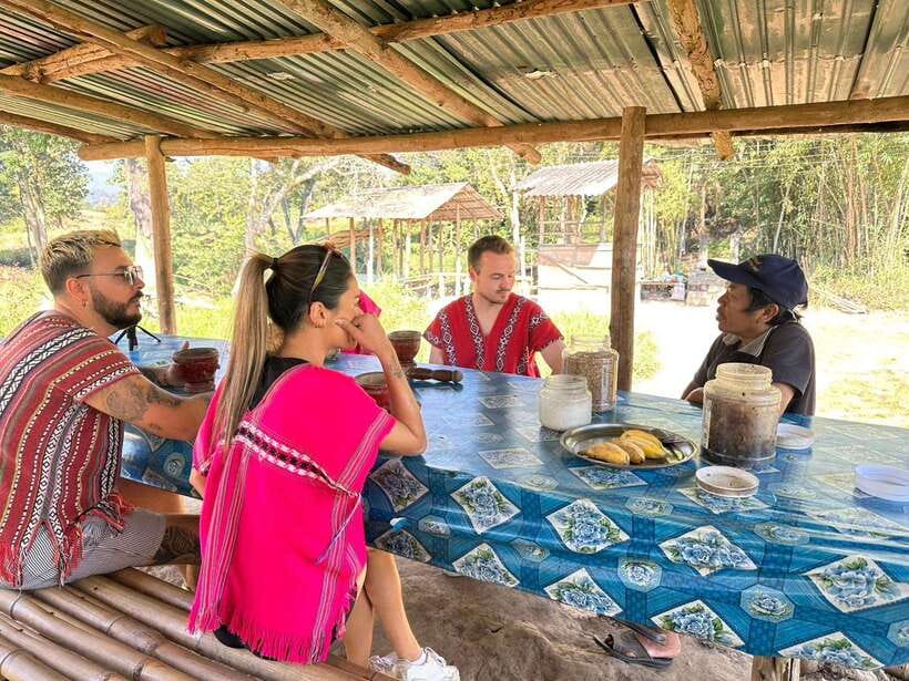 Chiang Mai Untouched Elephant: Nature Walk & Waterfall Trek - Key highlights that matter before you book