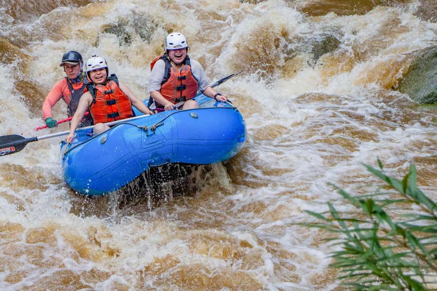 Chiang Mai: Whitewater Rafting and Waterfall Trekking Tour - Key highlights worth your attention