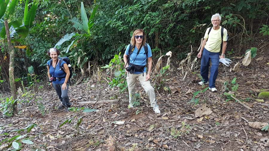 Chiang Rai 1 Day Jungle Trek with Bamboo Lunch & Local Guide - The hidden bonus: hot spring break at Ban Pha Sret