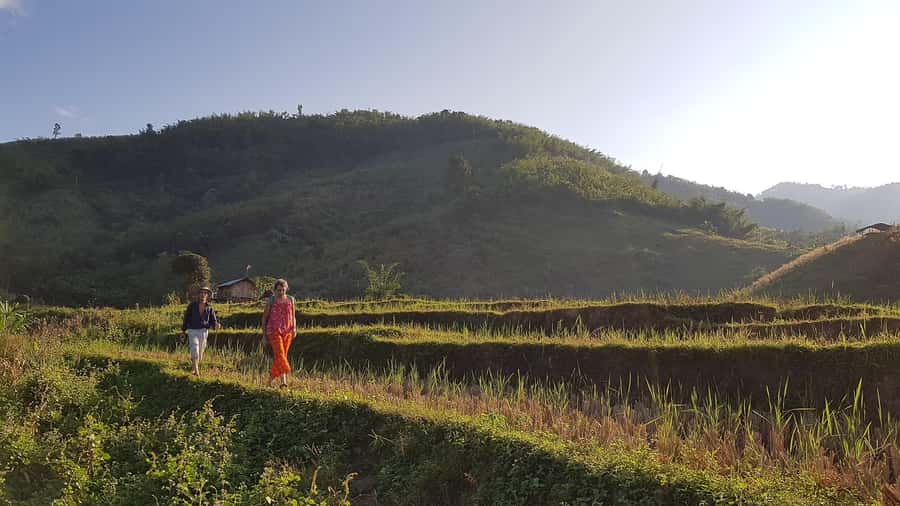 Chiang Rai 1 Day Jungle Trek with Bamboo Lunch & Local Guide - Bamboo-tube lunch: food that’s tied to jungle know-how