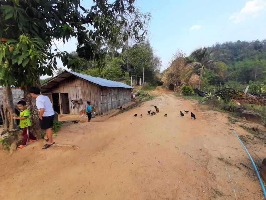 Chiang Rai 1 Day Jungle Trek with Bamboo Lunch & Local Guide - A day of “active learning,” not just sightseeing