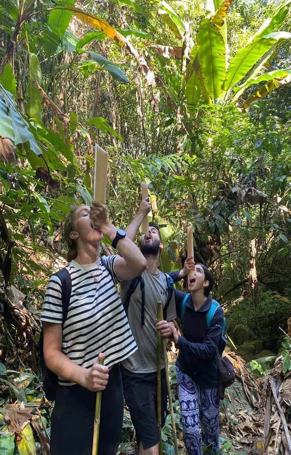 Chiang Rai: 1-Day Trekking and Longtail Boat Trip - Walking Time and Fitness: Read This Before You Book