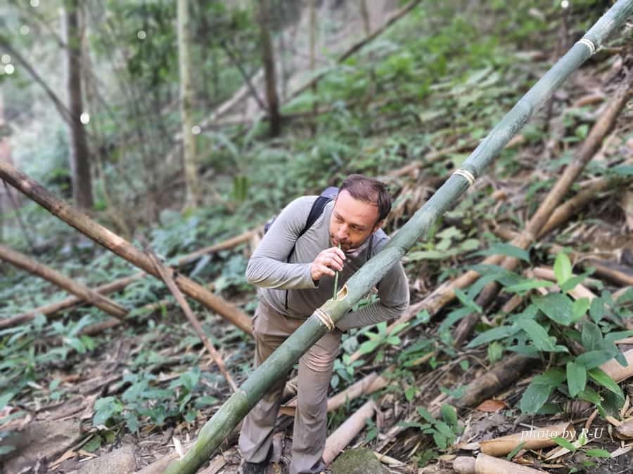 Chiang Rai: 2-Day Jungle Trek only walk with Waterfall - Key things I’d mark on your shortlist