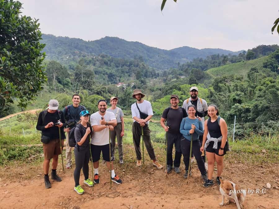 Chiang Rai: 2-Day Jungle Trek only walk with Waterfall - Two days in Chiang Rai jungle: what the experience actually feels like