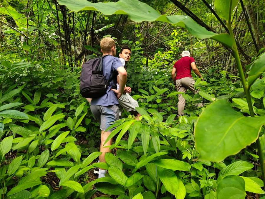 Chiang Rai: Jungle Adventure-Group Trekking & Bamboo Cooking - Key highlights worth planning for