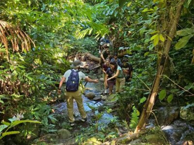 Chiang Rai: Jungle Adventure-Group Trekking & Bamboo Cooking - The day in numbers: 10–12 km, about 5 hours of moving